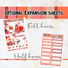 Load image into Gallery viewer, Hearts Desire - POCKET Mini Weekly Kit Planner stickers