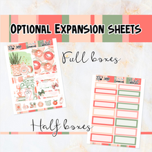 Load image into Gallery viewer, Peachy Keen - POCKET Mini Weekly Kit Planner stickers