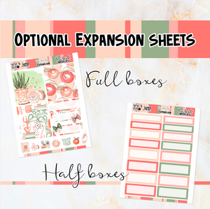 Peachy Keen - POCKET Mini Weekly Kit Planner stickers