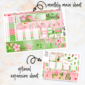 March Spring Dreaming monthly - Hobonichi Weeks personal planner