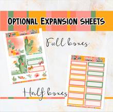 Load image into Gallery viewer, Cactus Blooms - POCKET Mini Weekly Kit Planner stickers