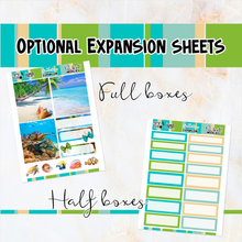 Load image into Gallery viewer, Sea Turtles - POCKET Mini Weekly Kit Planner stickers