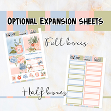 Load image into Gallery viewer, Peachy Blue - POCKET Mini Weekly Kit Planner stickers