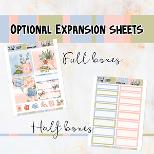 Peachy Blue - POCKET Mini Weekly Kit Planner stickers