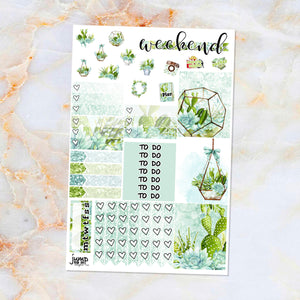 Succulents sampler stickers - for Happy Planner, Erin Condren Vertical and Horizontal Planners