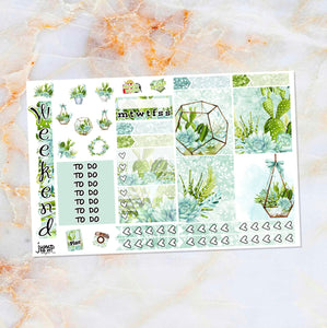 Succulents sampler stickers - for Happy Planner, Erin Condren Vertical and Horizontal Planners