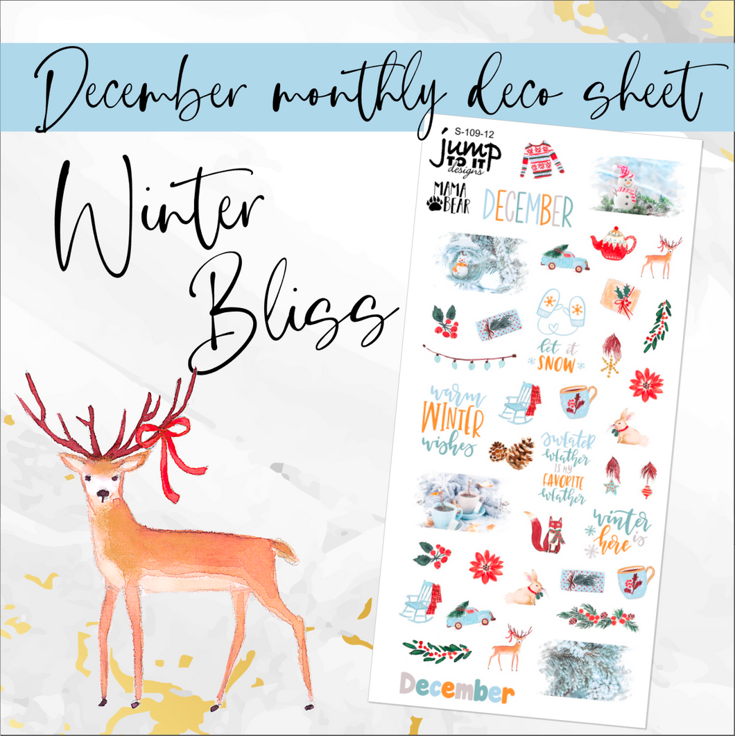 December Winter Bliss Deco sheet - planner stickers          (S-109-12)